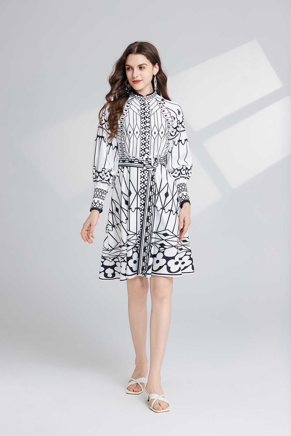 Women Spring And Autumn Long Sleeve Printed Stand Collar A Line Dress