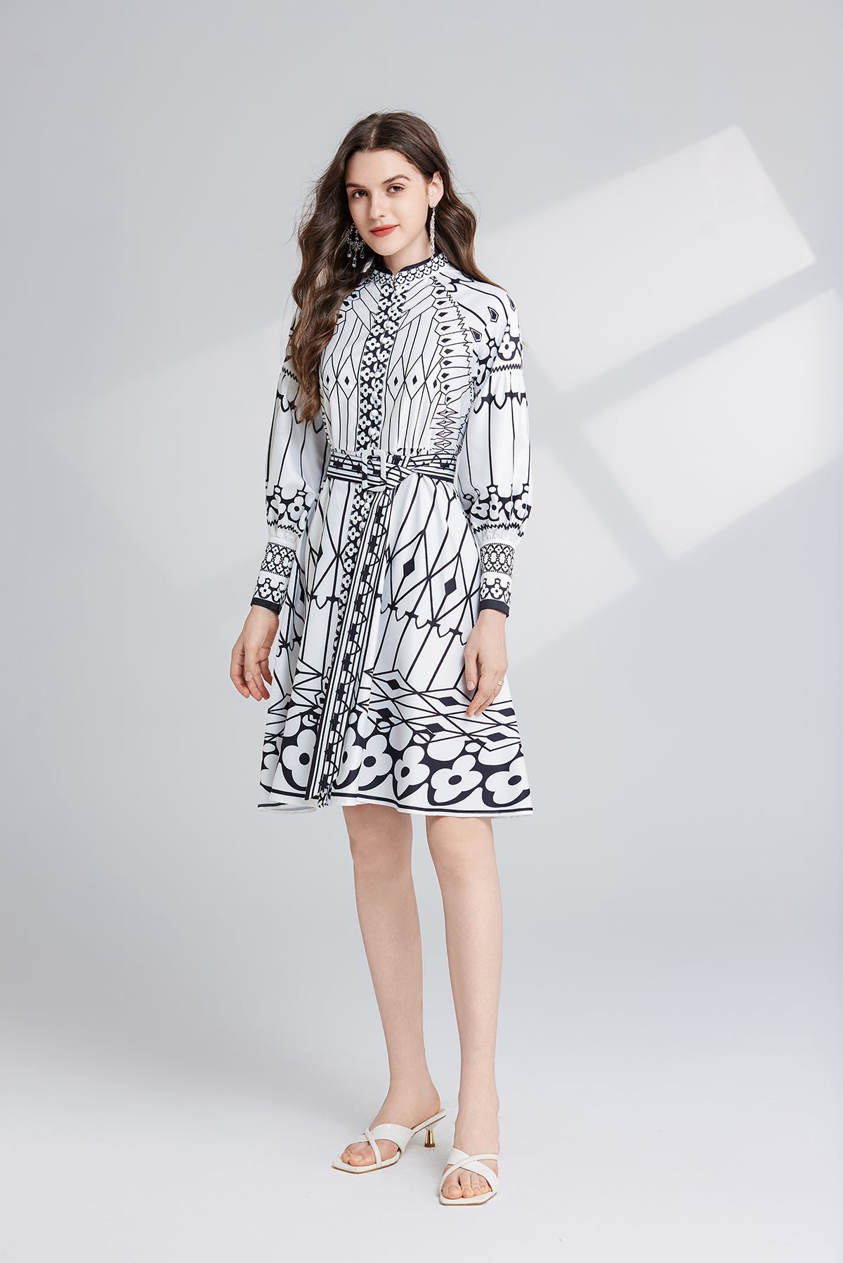 Women Spring And Autumn Long Sleeve Printed Stand Collar A Line Dress