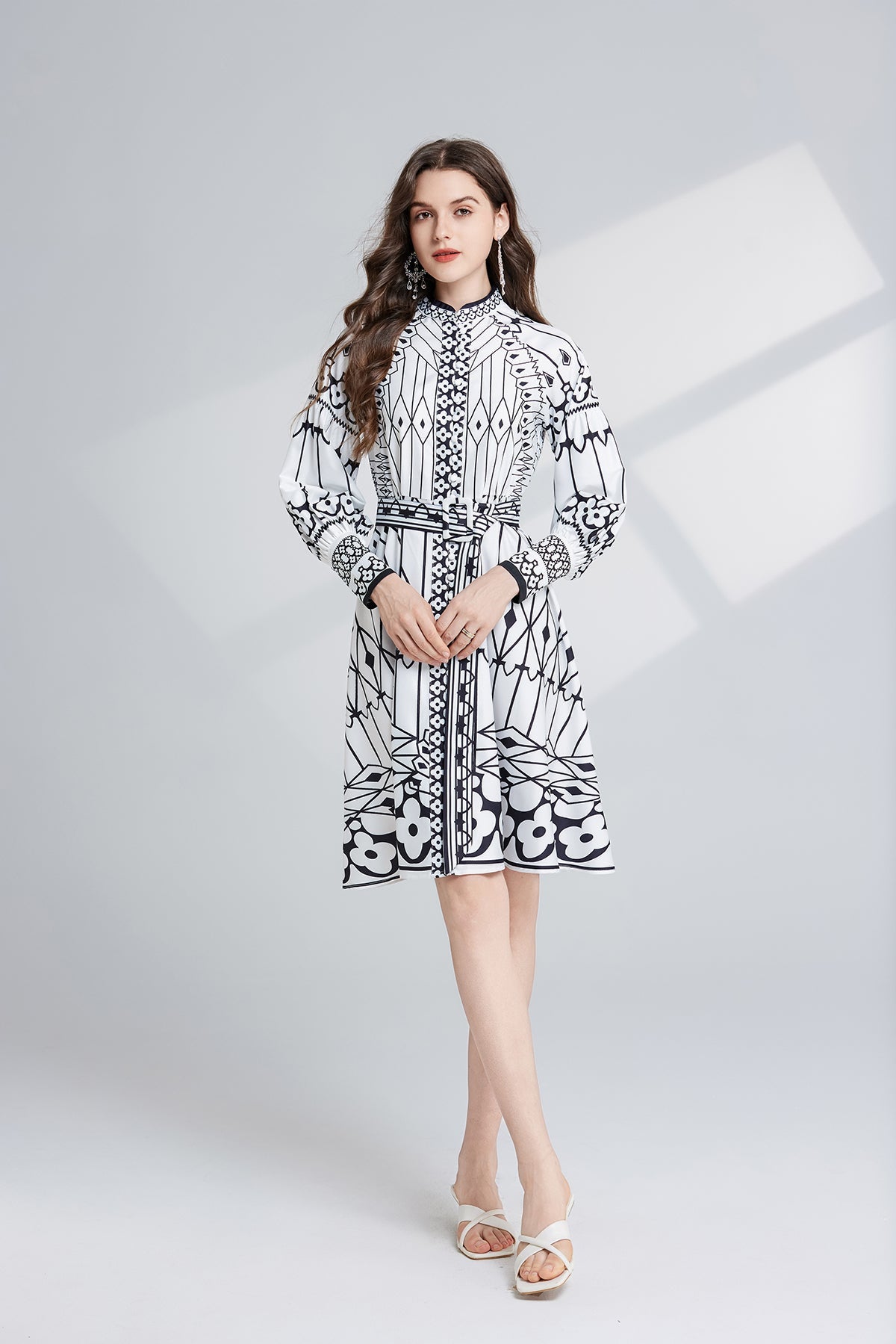 Women Spring And Autumn Long Sleeve Printed Stand Collar A Line Dress