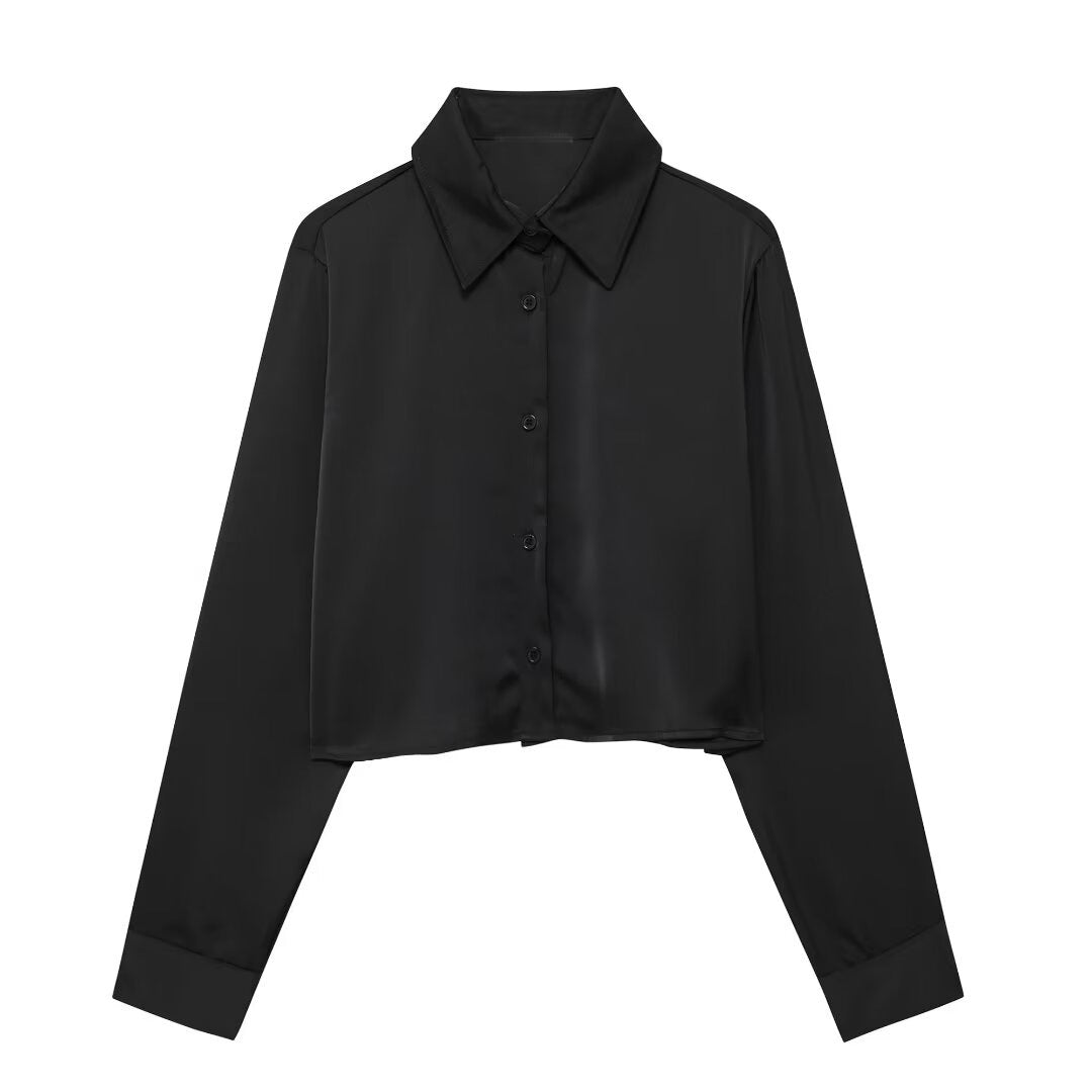 Women Clothing Simple Two Piece Sets Silk Satin Texture Long Sleeve Shirt Drape Skirt Black Shirt